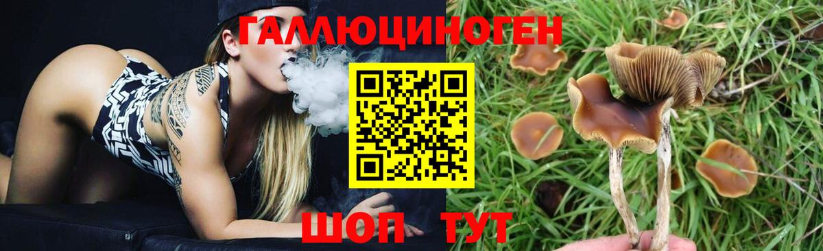 Орск  Псилоцибиновые грибы Psilocybe  Вход с VPN  Псилоцибиновые грибы Psilocybine cubensis 